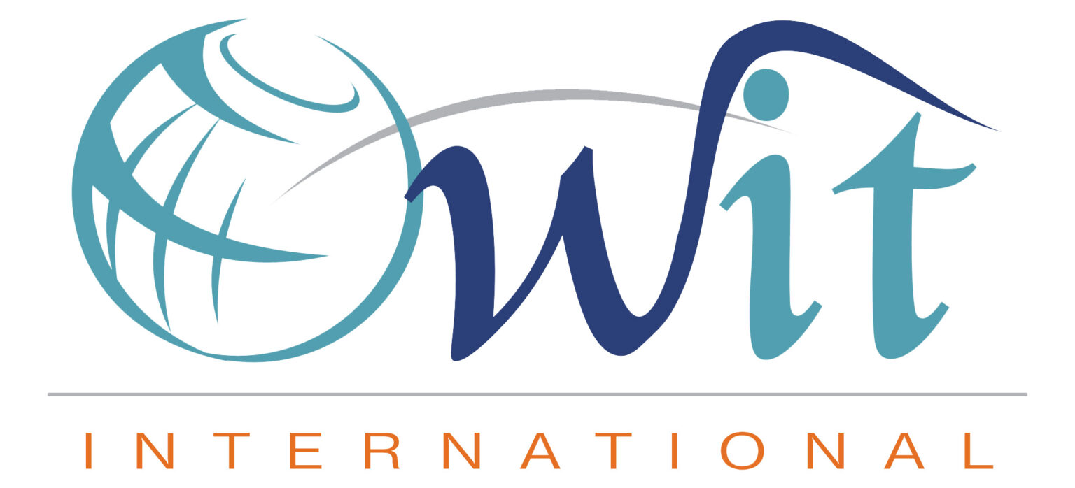 owit-int-logo