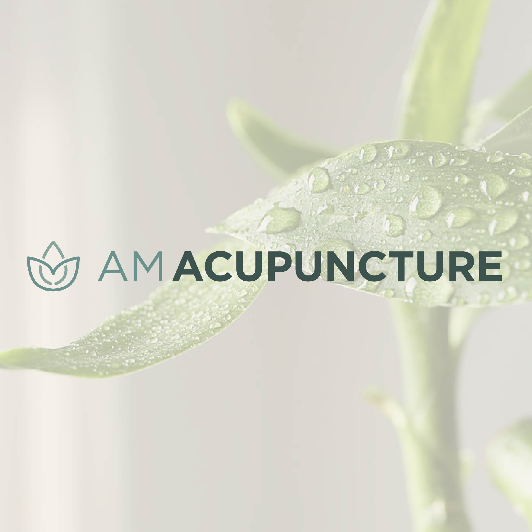 AM ACUPUNCTURE